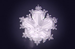Emoto-1