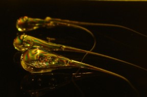 PrinceRupert_sDrop1
