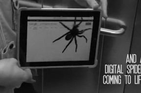 Spider
