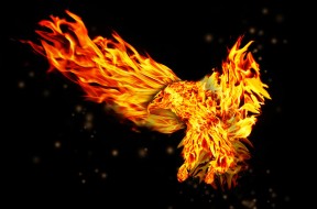 fire_eagle_by_lepercqj