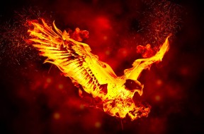 the_burning_eagle