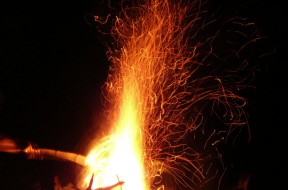 Picture-027
