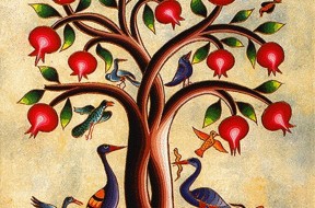 pomegranate_tree-13