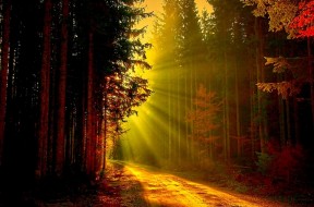 light-path-2