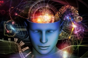 mind-6