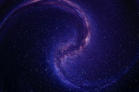 cosmos